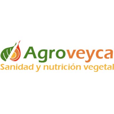 Nuestros clientes