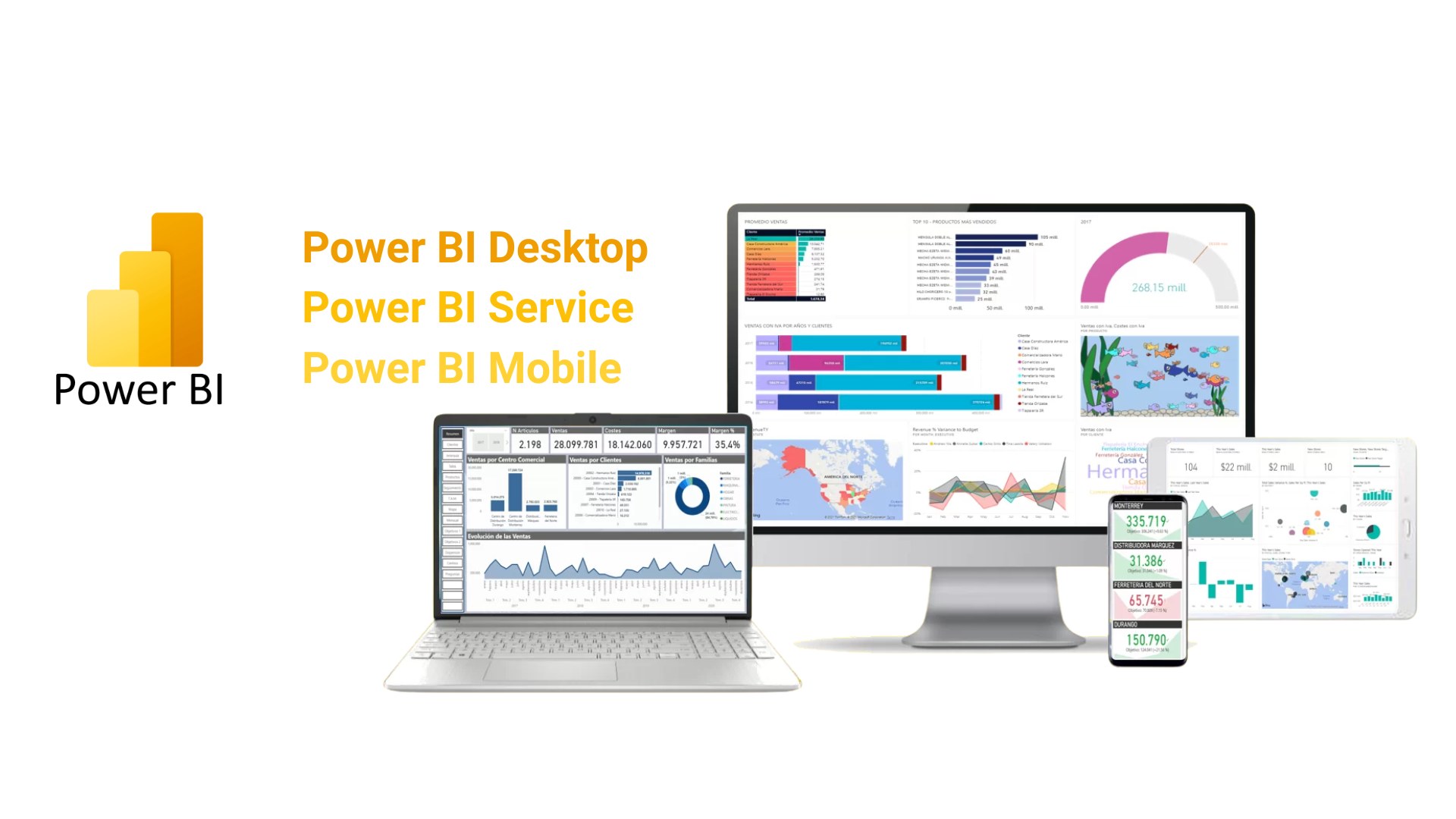 Los tipos de Power BI